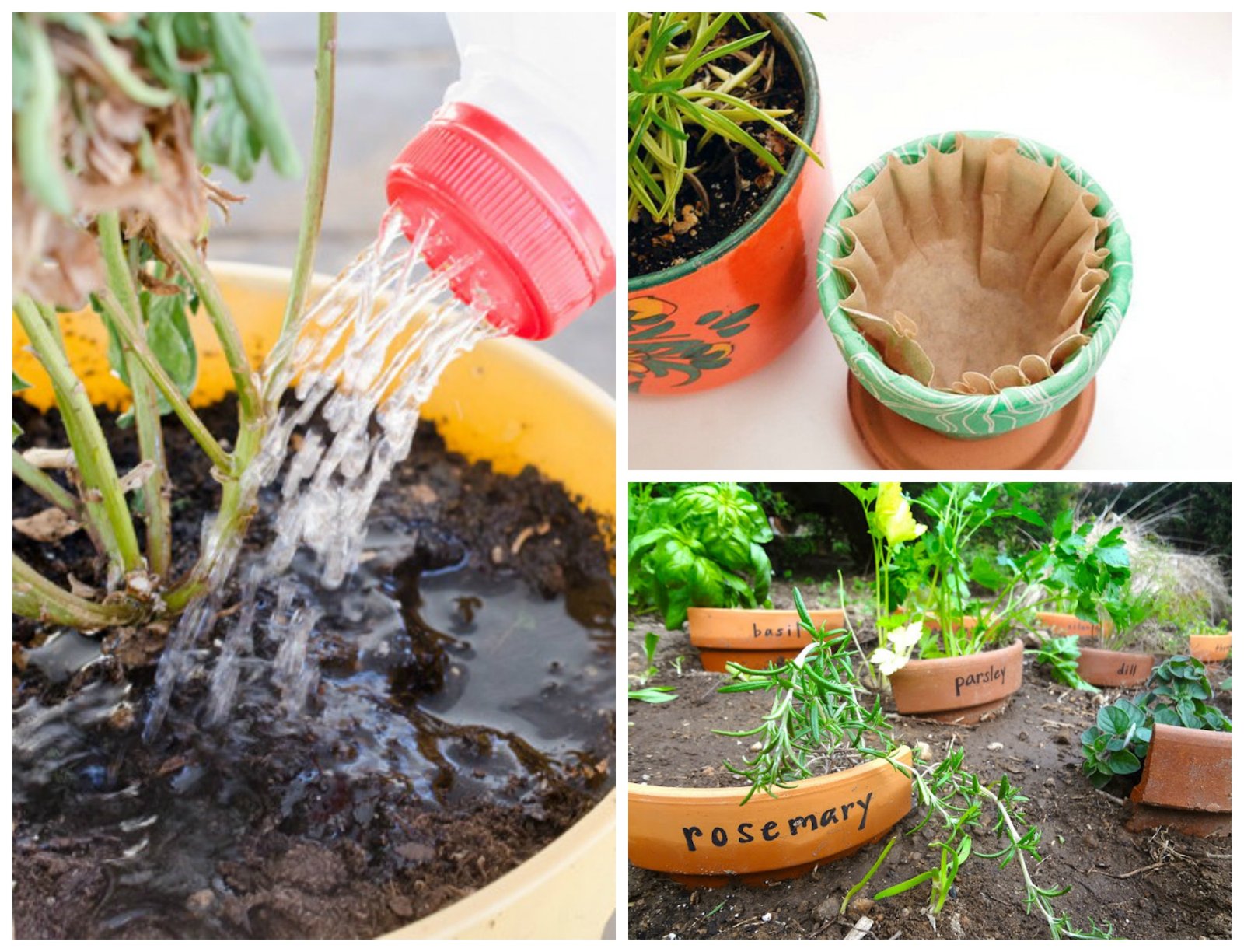 Revolutionize Your Garden with These Clever Hacks!